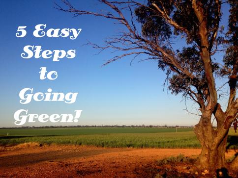 5 Easy Steps to Going Green!