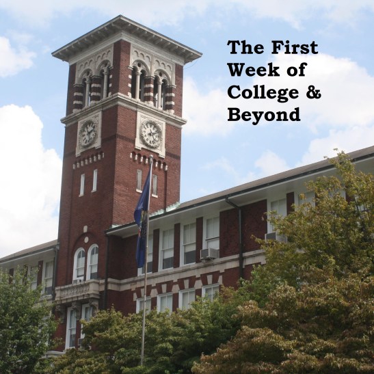 b6f6f1732d17e562c91f423e089bd0b7