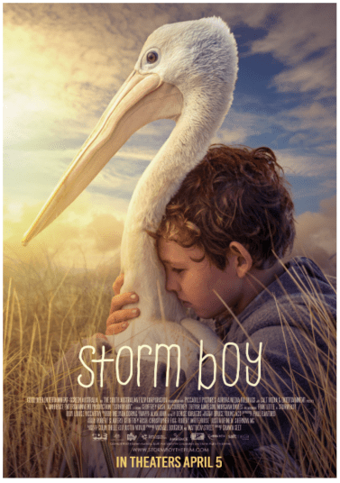 _STORM BOY art.png