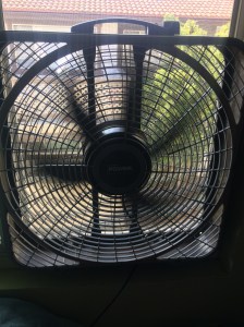 59166291978__07924000-427B-4CC9-9DA7-44378FEC658D