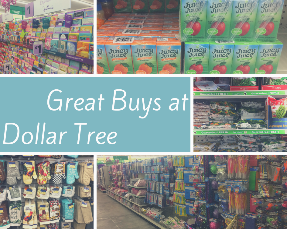 Teal Cat Quote Photo Collage.png